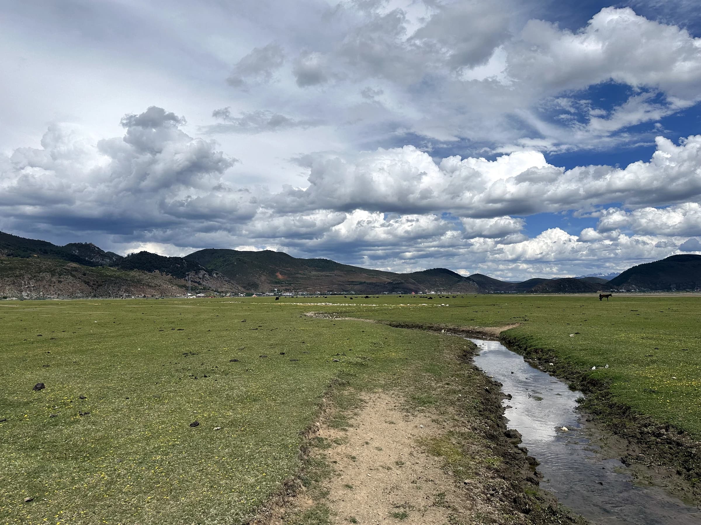A narrow stream crossing open grassland beneath dramatic clouds near Shangri-La City